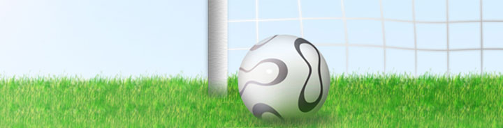 Sportex investments Ltd - Sports ball manufacturers, Printers and General office suppliers
