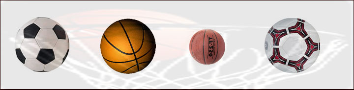 Sportex investments Ltd - Sports ball manufacturers, Printers and General office suppliers